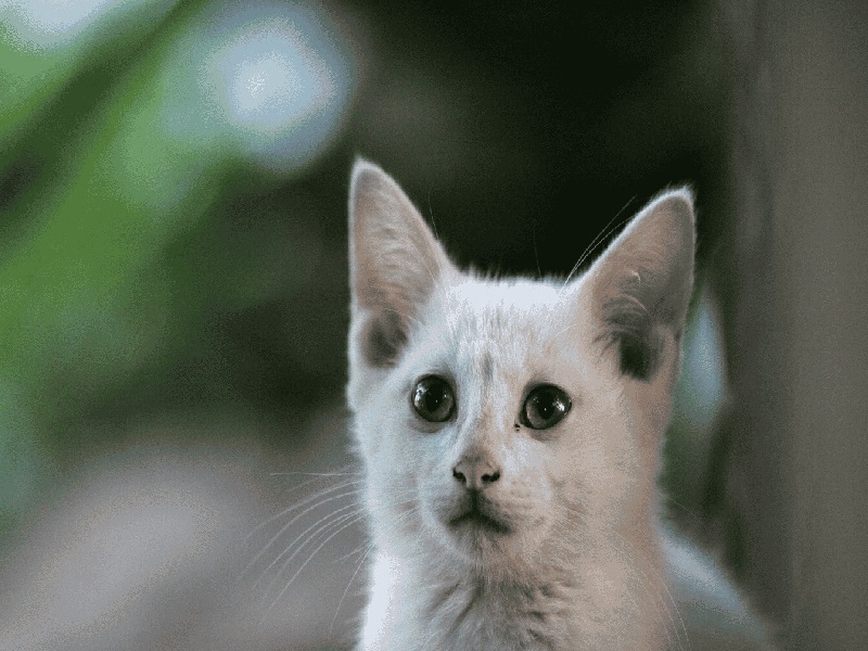 西安哪可以代怀,西安试管 着床晚 周数（试管之前需要准备多久）